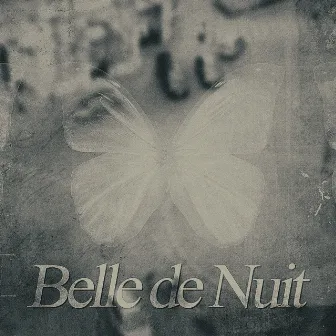 Belle de nuit by 黒皇帝