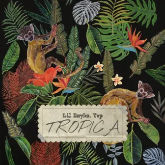 Tropica by lil bayba