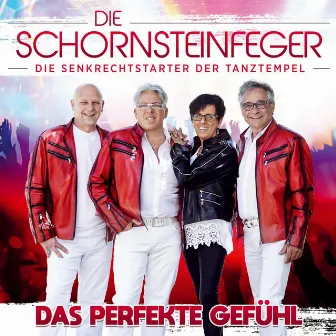 Das perfekte Gefühl by Die Schornsteinfeger