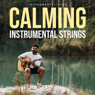 Calming Instrumental Strings by Instrumental Zone