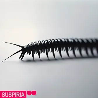 Suspiria by CPSL