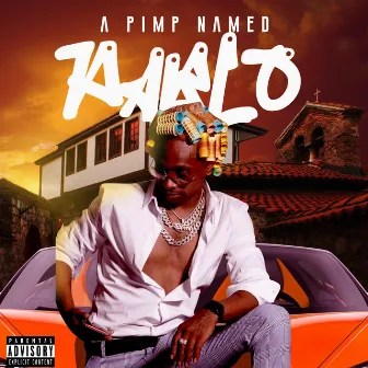 A Pimp Name Pablo by Pimpin' Pablo