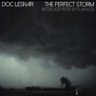 The Perfect Storm by Doc Lesnar