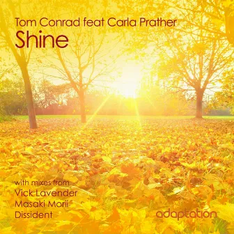 Shine (feat. Carla Prather) by Tom Conrad