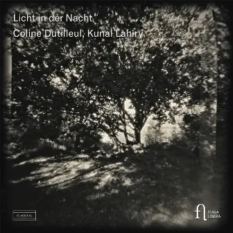 Licht in der Nacht by Coline Dutilleul