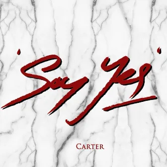 Say Yes by Carter