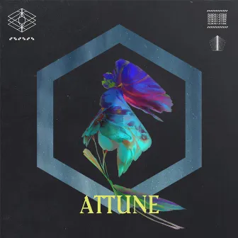 Attune by Jamie Lane