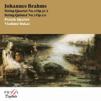 Johannes Brahms: String Quartet No. 2 & String Quintet No. 2 by Vladimir Bukac