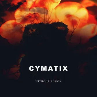 Without A Look by CYMATIX