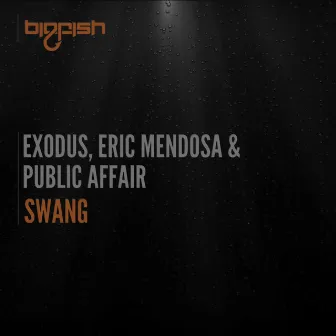 Swang by Public Affair