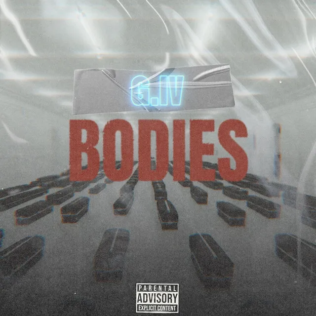 Bodies