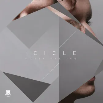 Under the Ice by Icicle