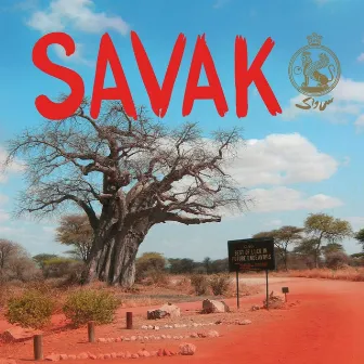 Best of Luck in Future Endeavors by Savak