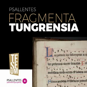 Fragmenta Tungrensia by Psallentes