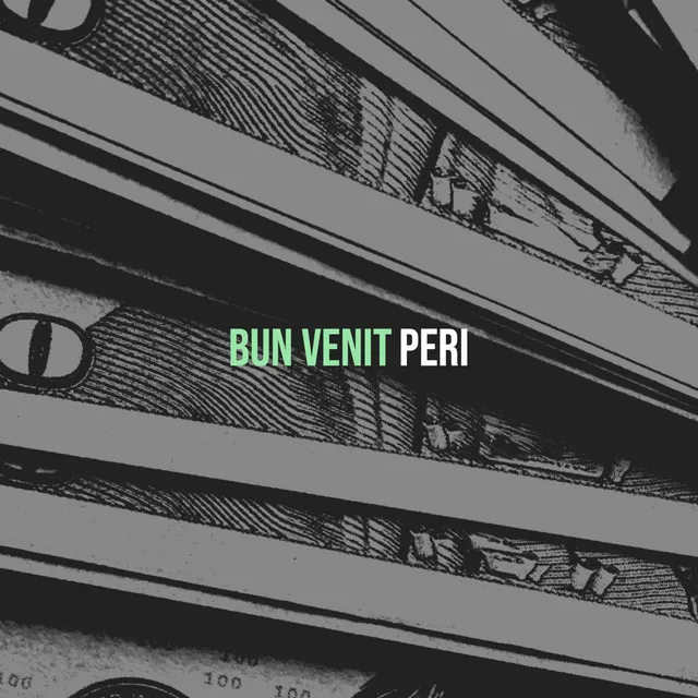 Bun Venit