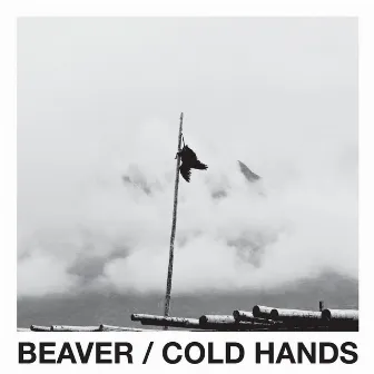 Cold Hands by Beaver