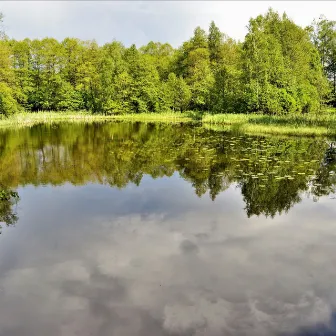 Rocks Dropped Into Still Lake by Scandinavian Ambience