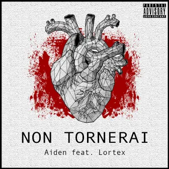 Non Tornerai by Aiden