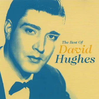 The Best Of David Hughes by David Hughes