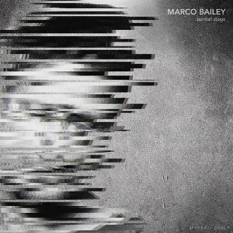 Surreal Stage LP by Marco Bailey