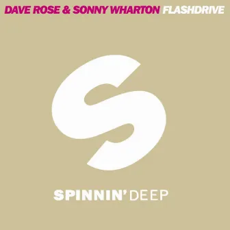 Flashdrive by Dave Rose