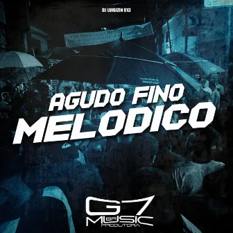 Agudo Fino Melódico by DJ Luigizin 013