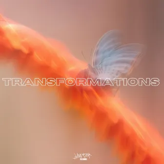 Transformations by Dem Rosé Boys