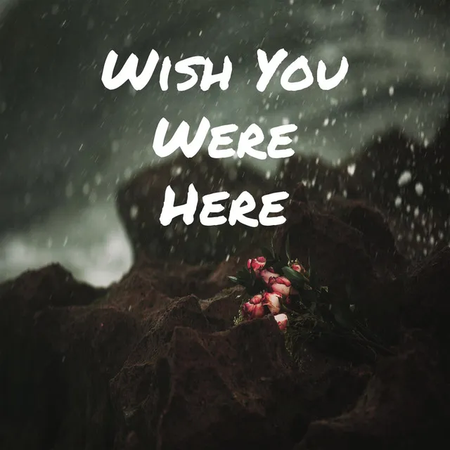 Wish You Were Here