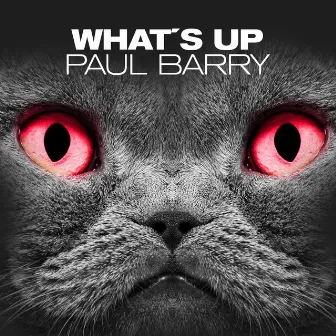 What's Up by Paul Barry