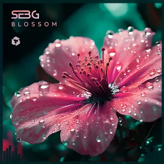 Blossom by Seb-G