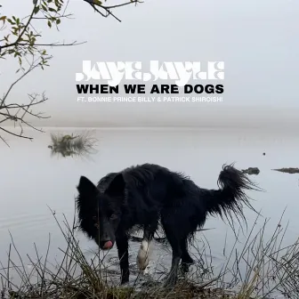 When We Are Dogs by Jaye Jayle