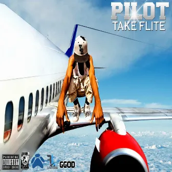 Take Flite by Pilot