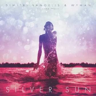 Silver Sun (Lights Anthem 2013) by Unknown Artist