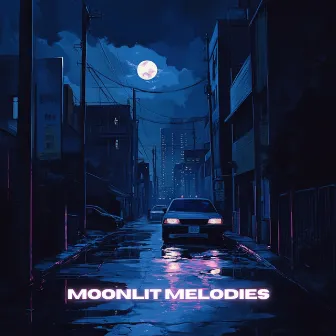 Moonlit Melodies - Night time LO-FI Chill hop Music by Lo-Fi Serenity