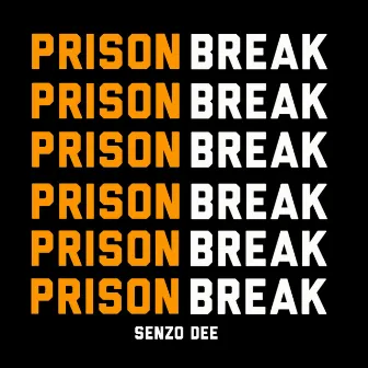 Prison Break by Senzo Dee