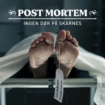 Post Mortem: Ingen dør på Skarnes (Music from the Netflix Series) by Aslak Hartberg