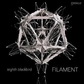 Filament by eighth blackbird