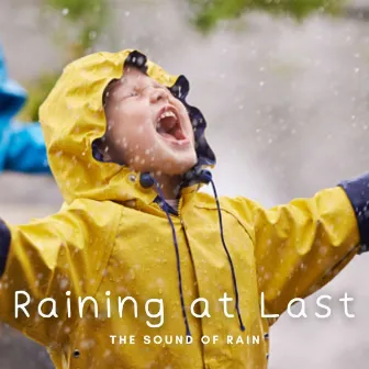 The Sound of Rain: Raining at Last by Rain Hive