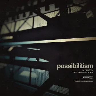 possibilitism by P DIGGEDY