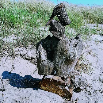 Driftwood by JOG