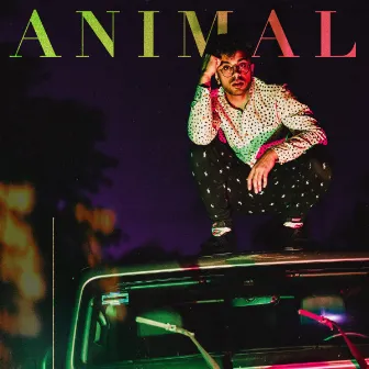 Animal by Naman