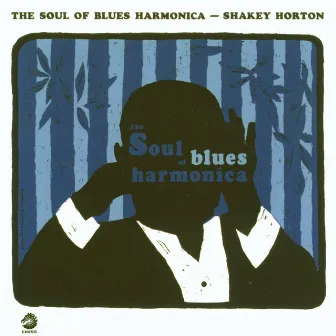 The Soul Of Blues Harmonica by Big Walter Horton