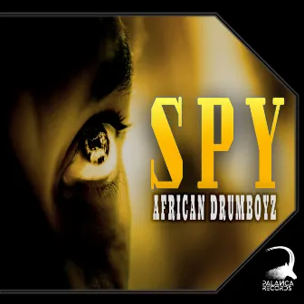 Spy by African Drumboyz