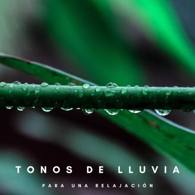 Tonos De Lluvia Para Una Relajación