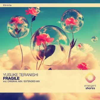 Fragile by Yusuke Teranishi