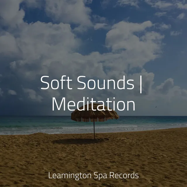 Soft Sounds | Meditation