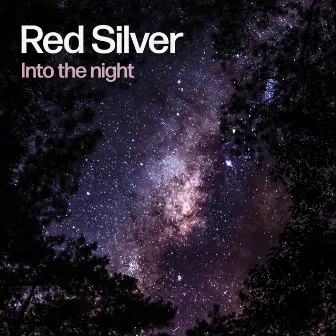 Into the night by Red Silver