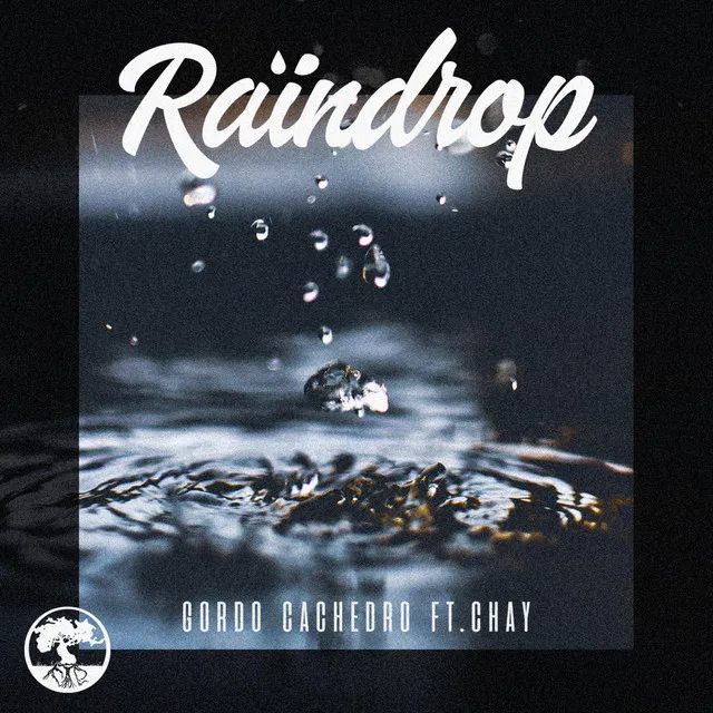 Raindrop