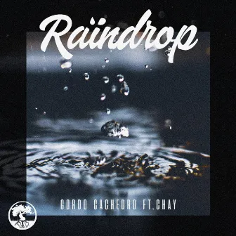 Raindrop by Gordo Cachedro