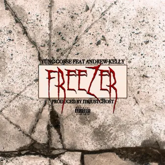 Freezer by Unknown Artist